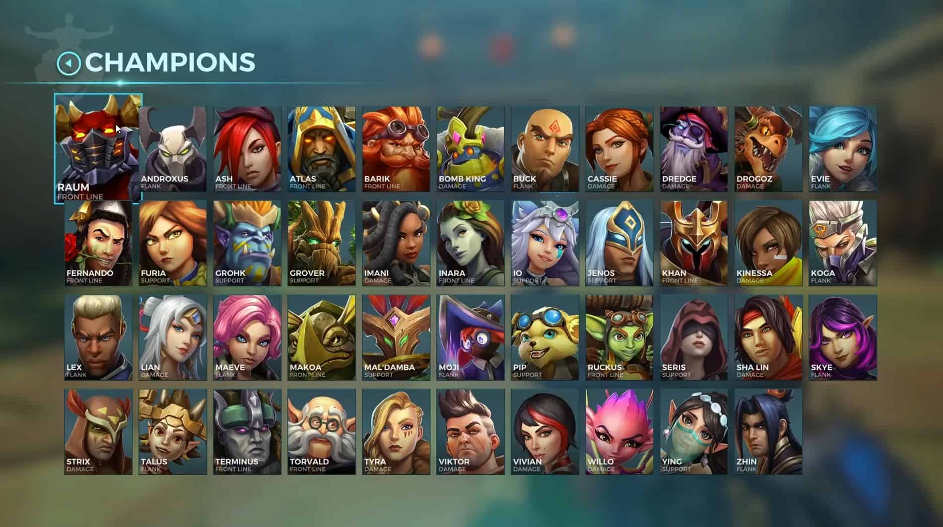 Paladins Champions